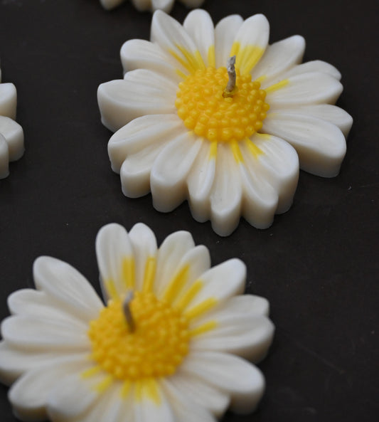 Daisy Floating Candle (Set of 2)